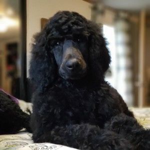 Meet your Posher, Maranda